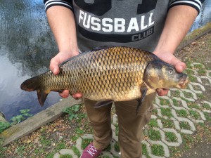 Patrick Komorek Schuppenkarpfen